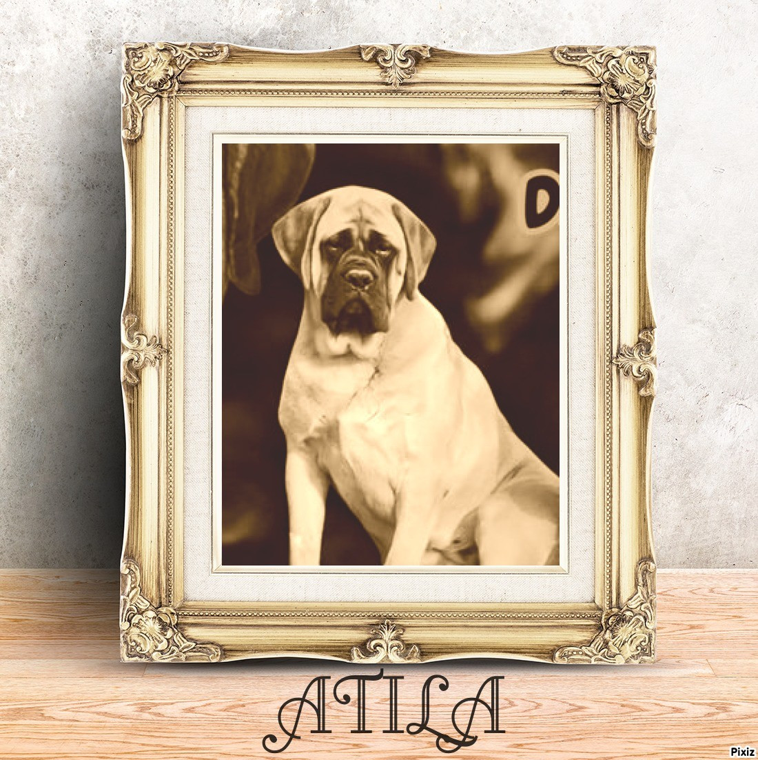 ATTILA des Joyaux d'Hades