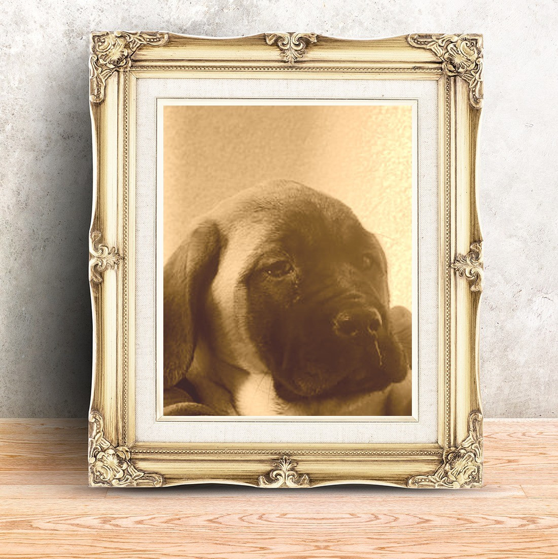 APHRODYTE Du Domaine Des Dieux Du Feu