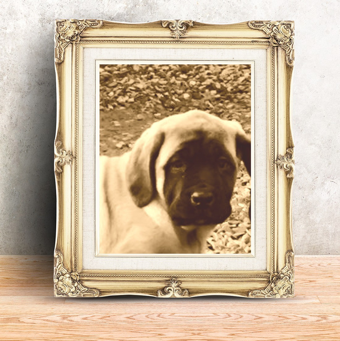 AQUA Du Domaine Des Dieux Du Feu