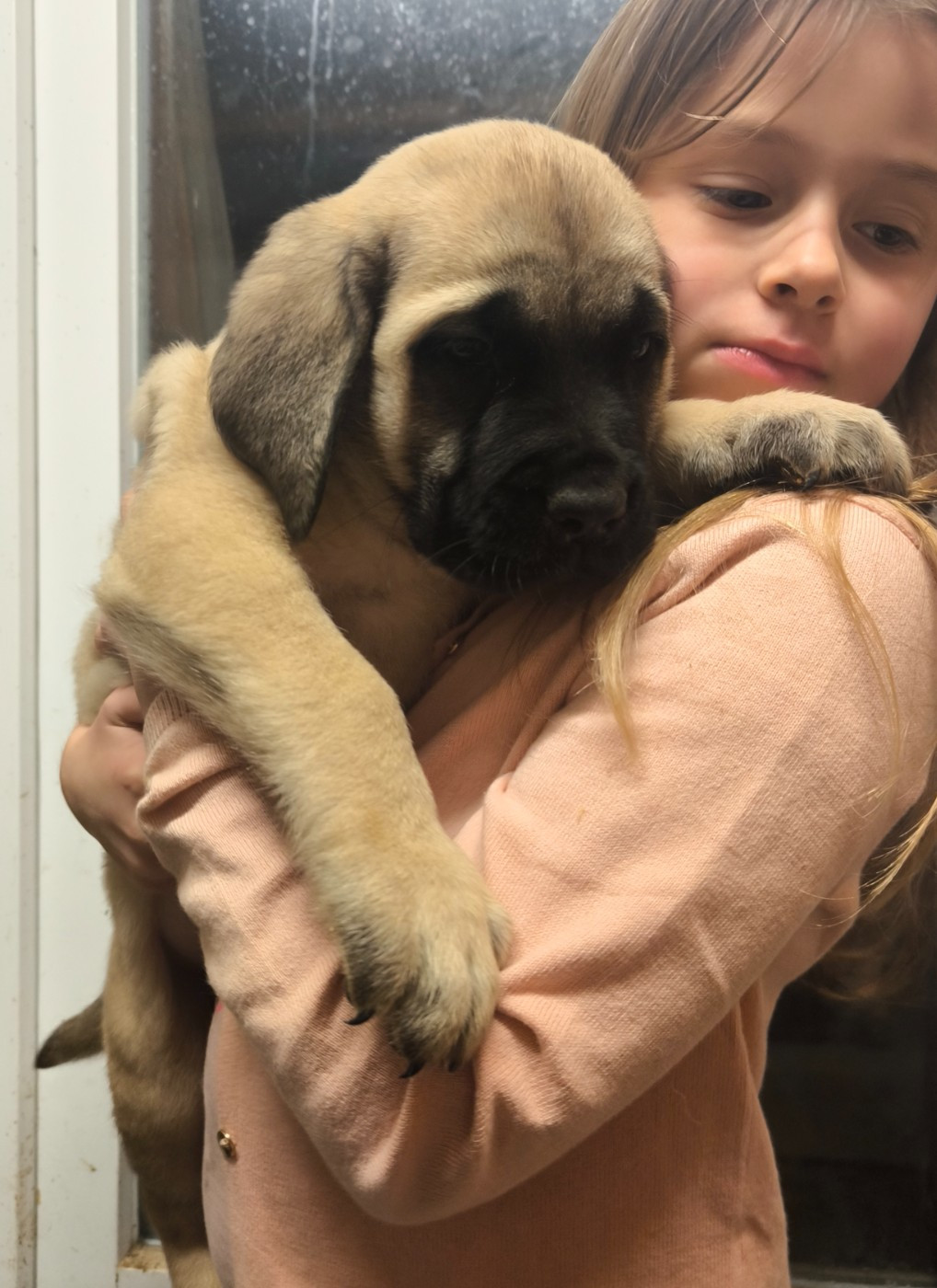 Bébés de Vicky / Oliver 9 semaines