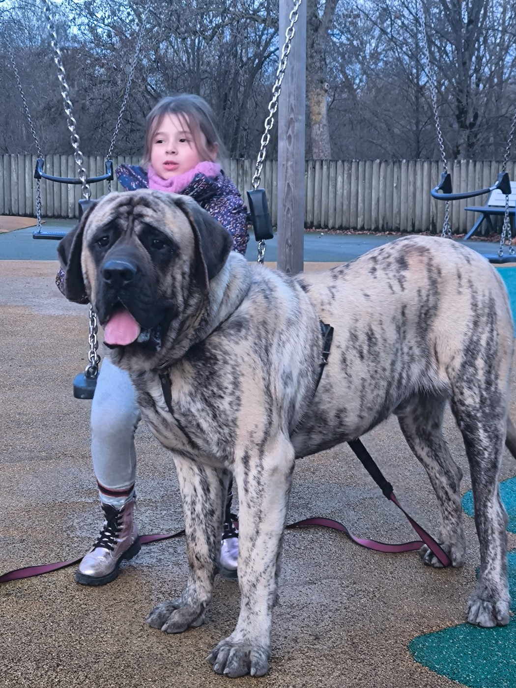 Alien Mâle bringé 10 mois